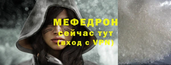 индика Коряжма