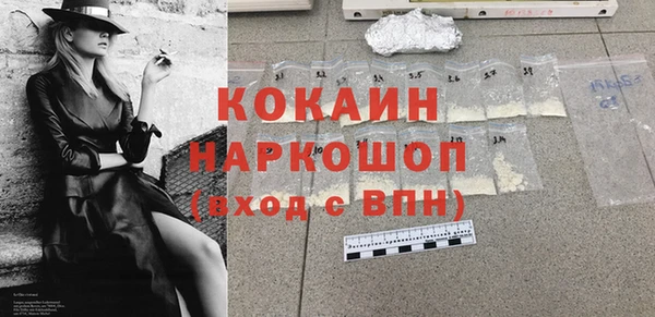 индика Коряжма