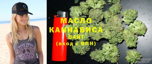 индика Коряжма