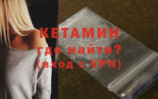 индика Коряжма