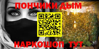 шишки Кимры