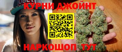 дмт Гатчина