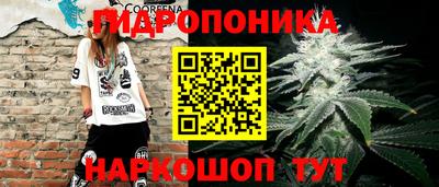 дмт Гатчина