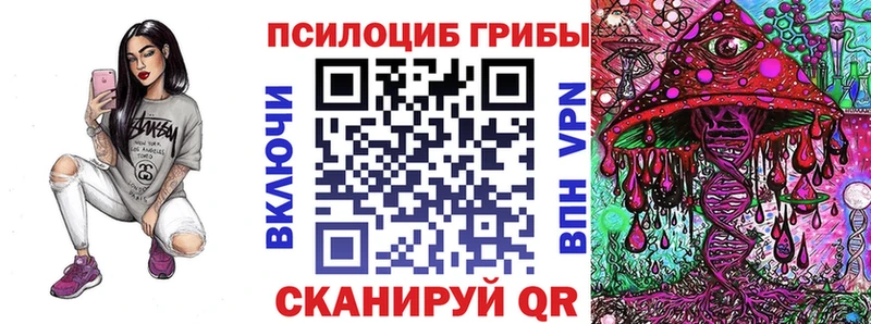 как найти наркотики  hydra рабочий сайт  Галлюциногенные грибы Psilocybe  дарк нет клад  Магадан 