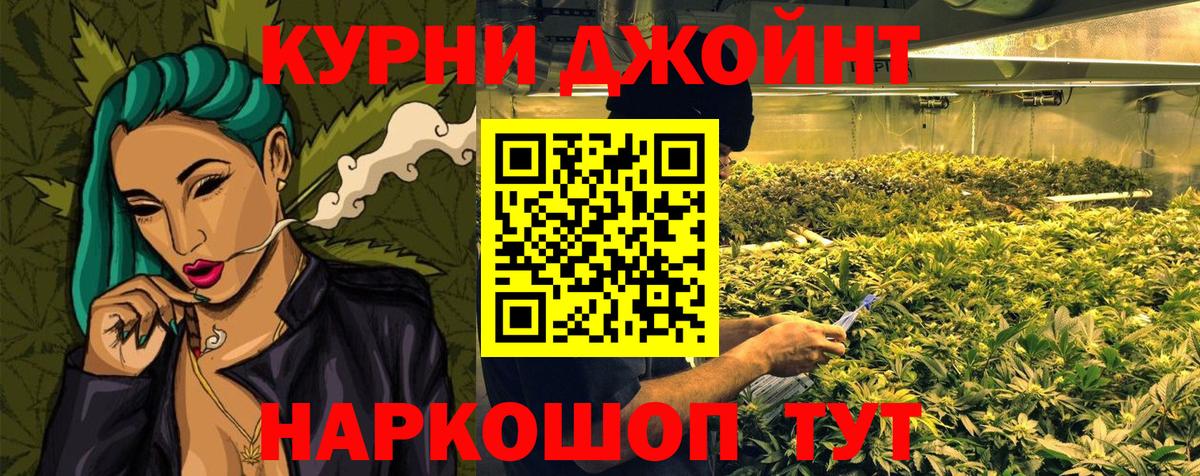 Бошки Шишки планчик Магадан